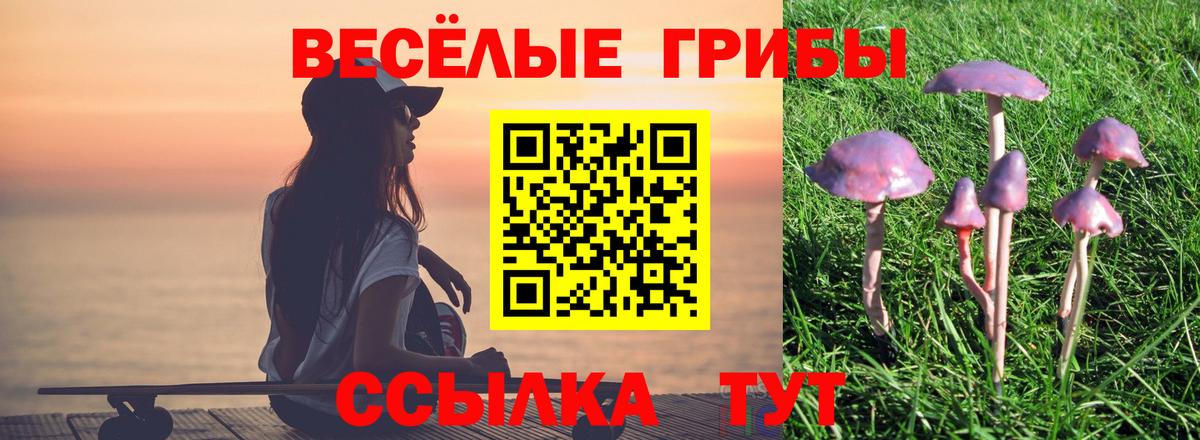 Псилоцибиновые грибы Psilocybine cubensis Рузаевка