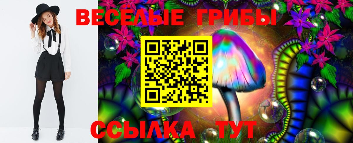 Рузаевка  Галлюциногенные грибы Psilocybe  Псилоцибиновые грибы MAGIC MUSHROOMS  Вход с VPN 